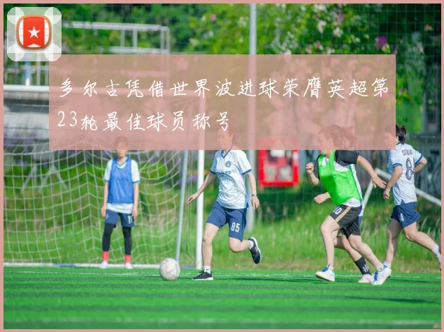多尔古凭借世界波进球荣膺英超第23轮最佳球员称号