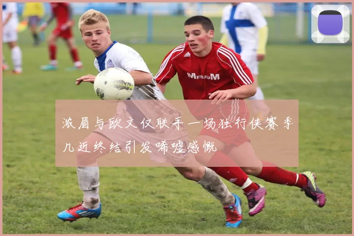 浓眉与欧文仅联手一场独行侠赛季几近终结引发唏嘘感慨